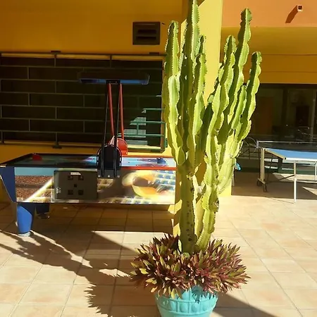 Vv Atlantic Garden With Pool View, Near شقة *